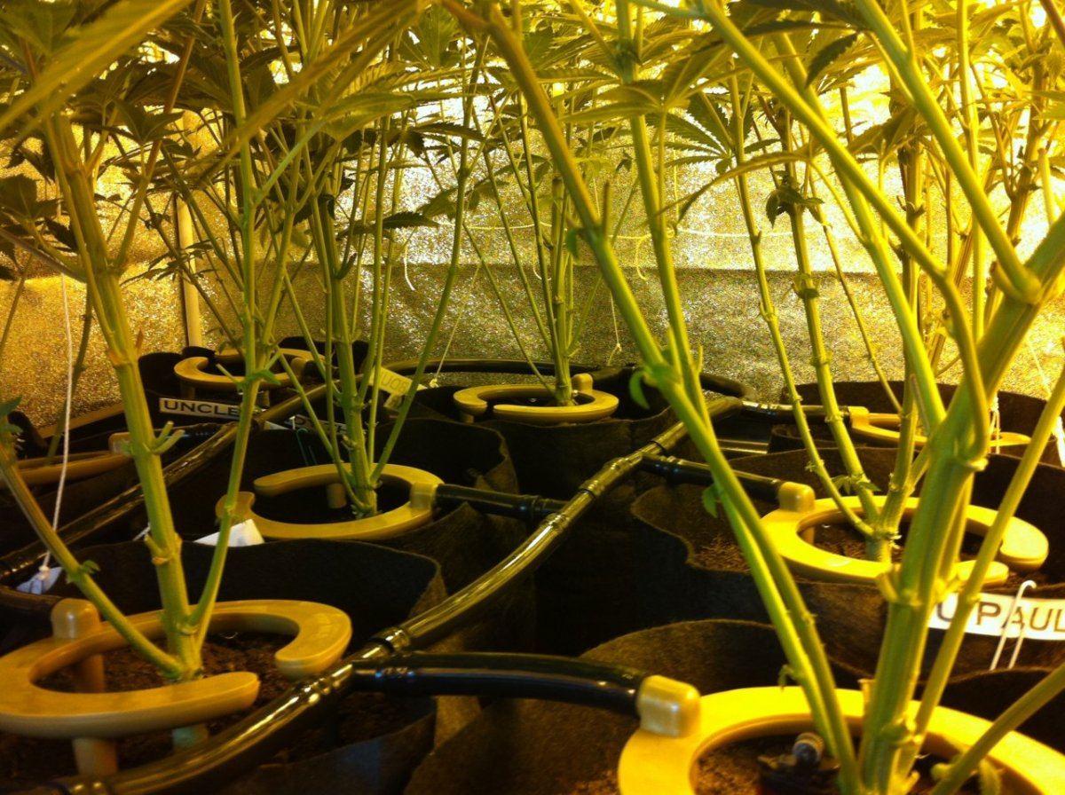 Photo1