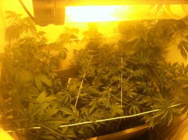 Photo1