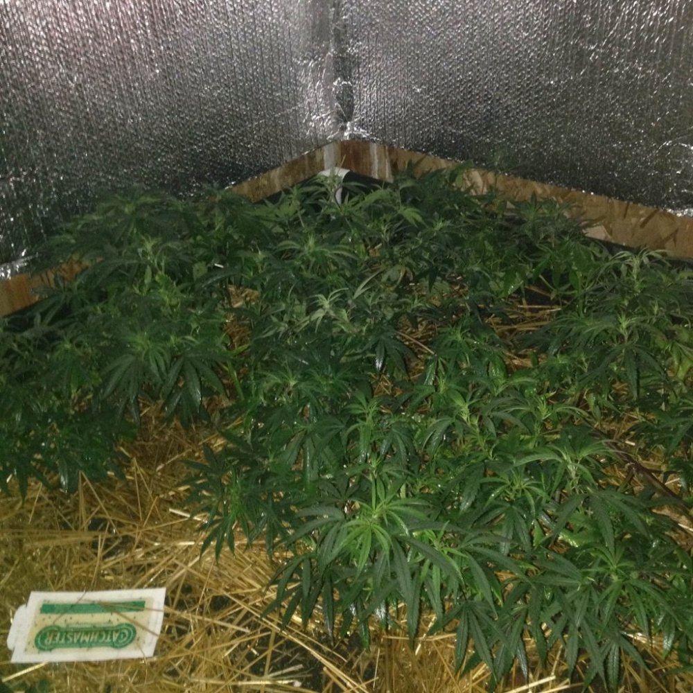 Photo2 1