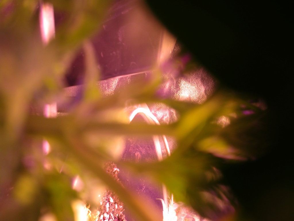 Photos 014