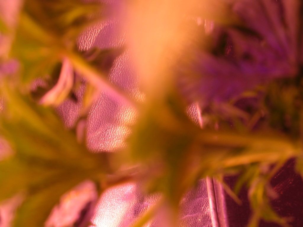 Photos 015