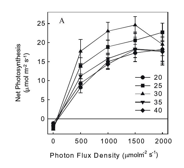 Photosynthesis versus ppfd