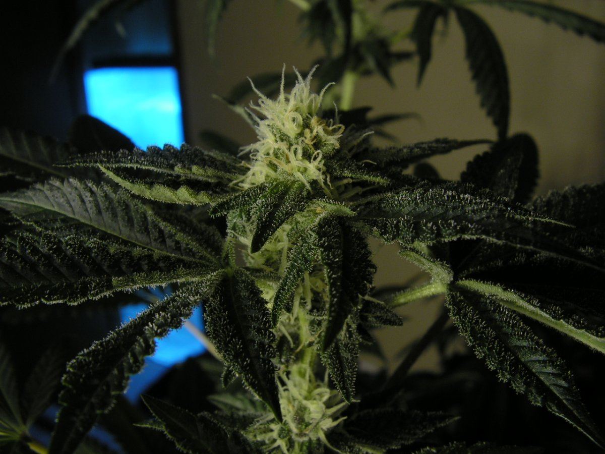 PICT0001