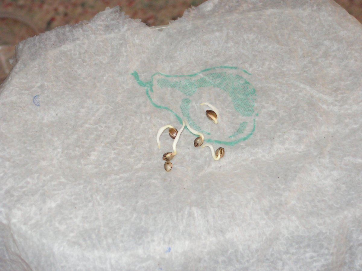 PICT0002