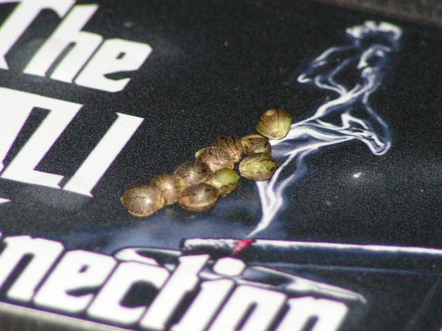PICT0986