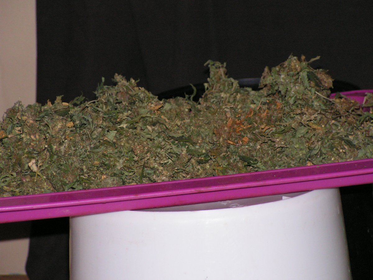 PICT3871