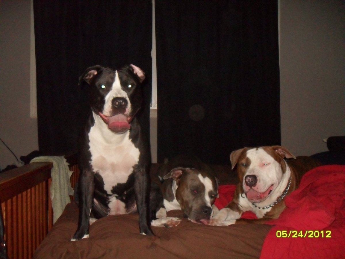 Picture 019