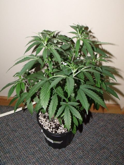 Picture 022