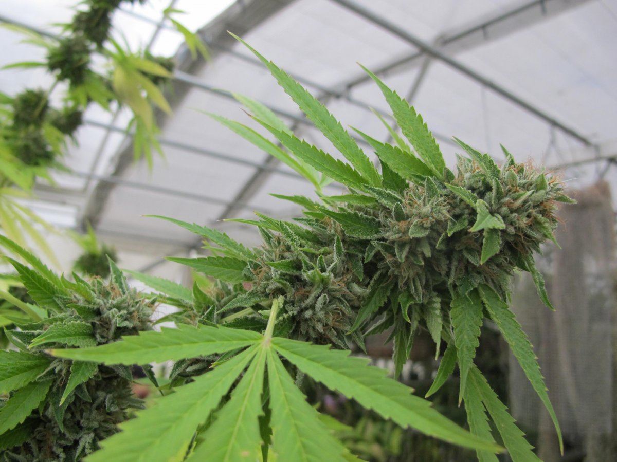 Picture 3346