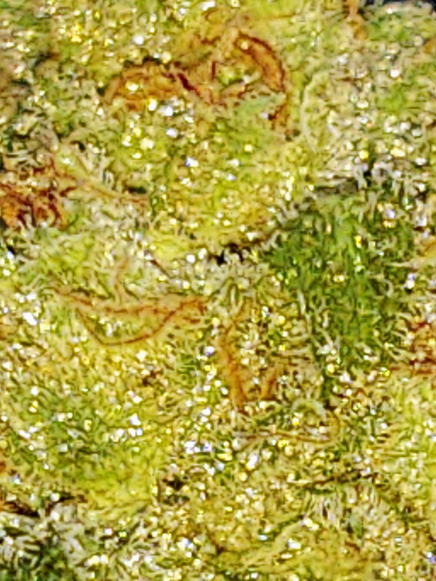 Picture 2021 2 22 8 21 12 1592