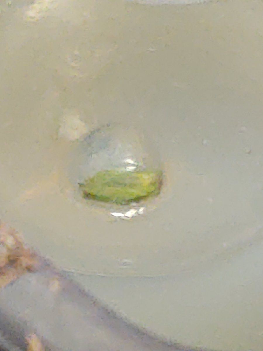 Picture 2022 5 10 8 4 53 470