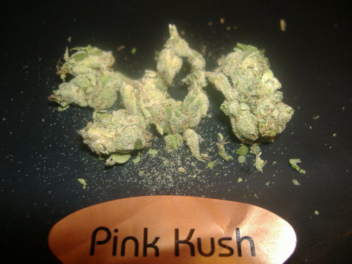 Pink Kush 2006