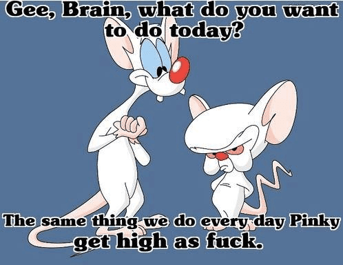 Pinky n brain
