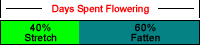 Plant size