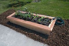 Planter