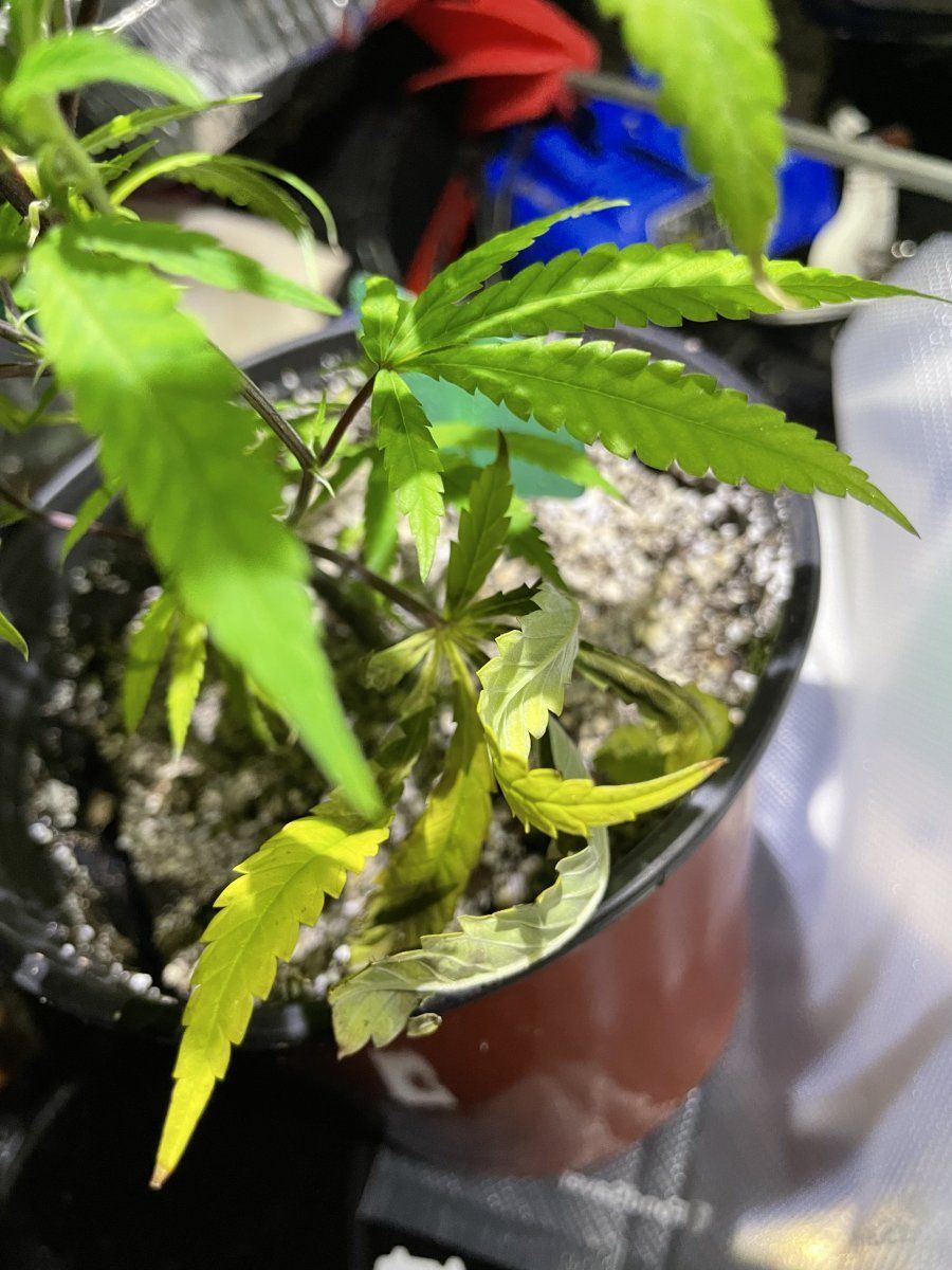 Plants need food soil is wet 6