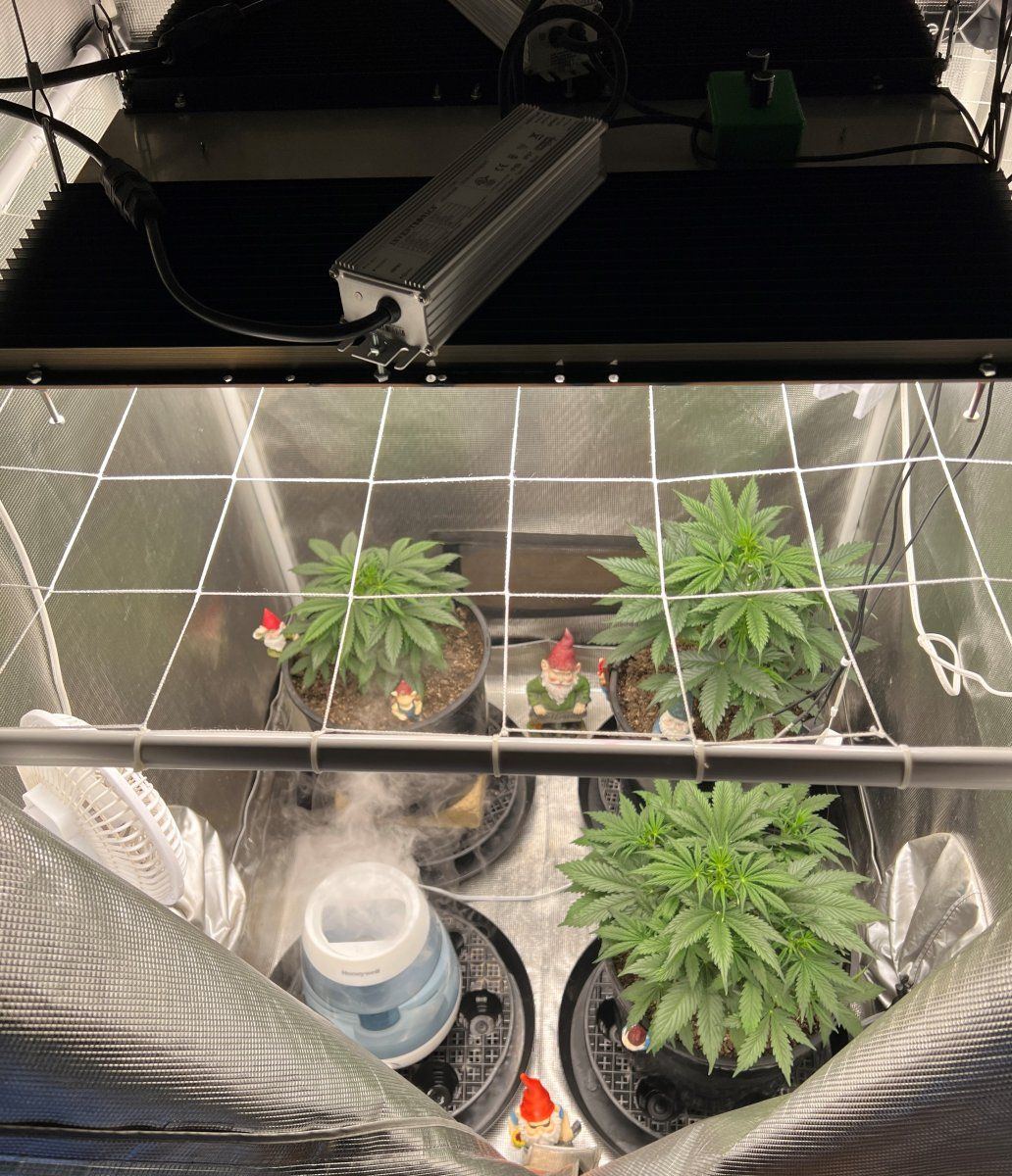 Plants2