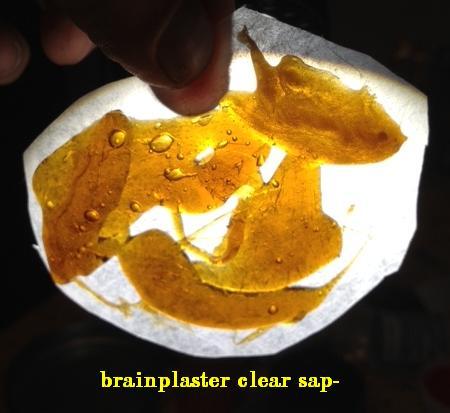 PLASTERSAP2good