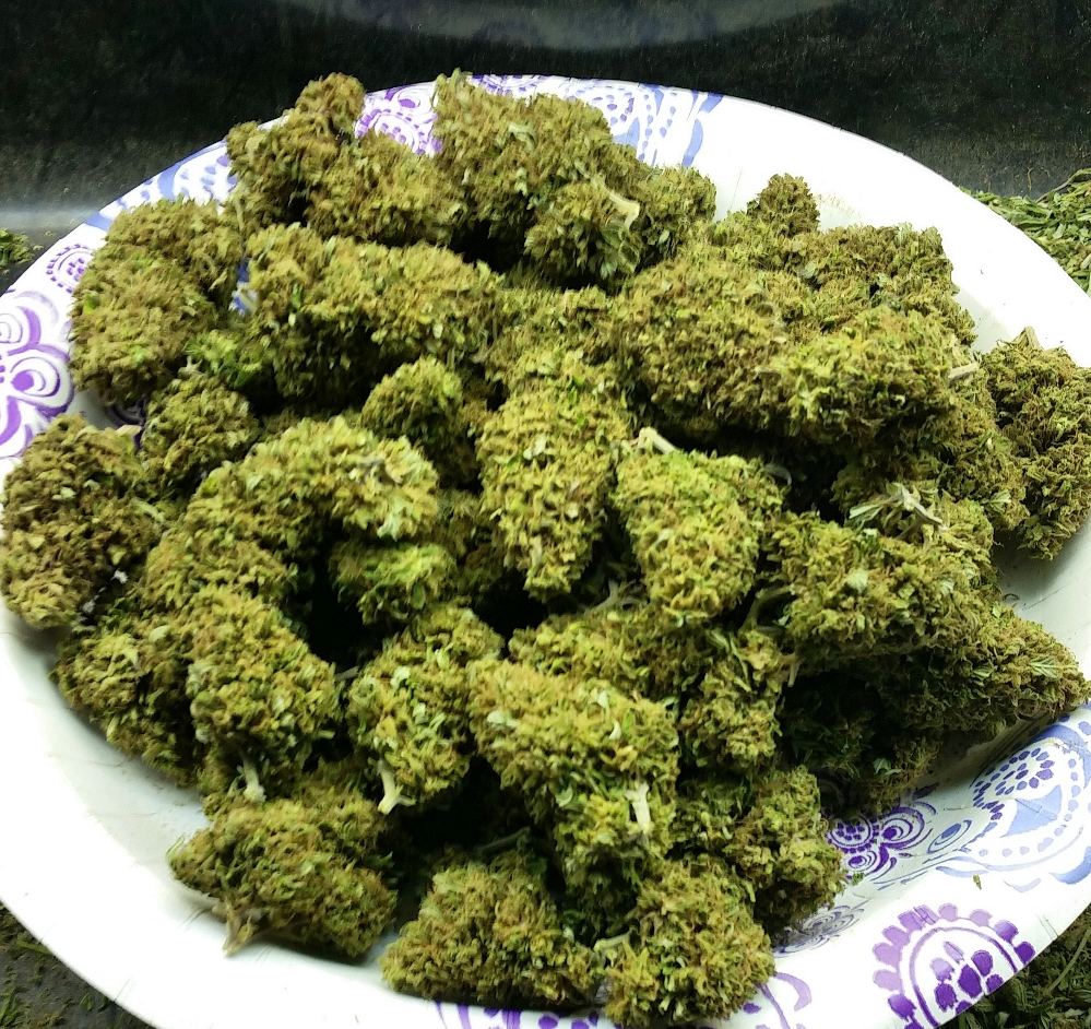 PlateofOdago