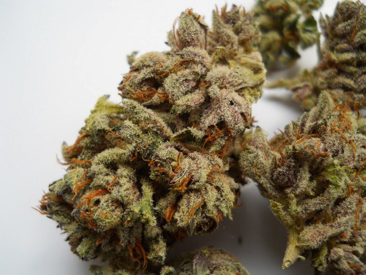 Platinum cookies 2