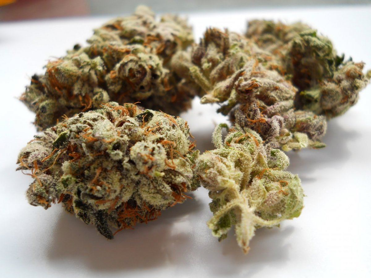 Platinum cooks
