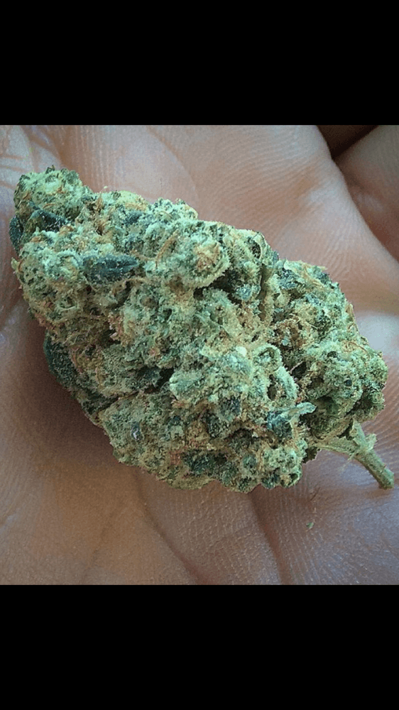 Platinum girl scout candy 4
