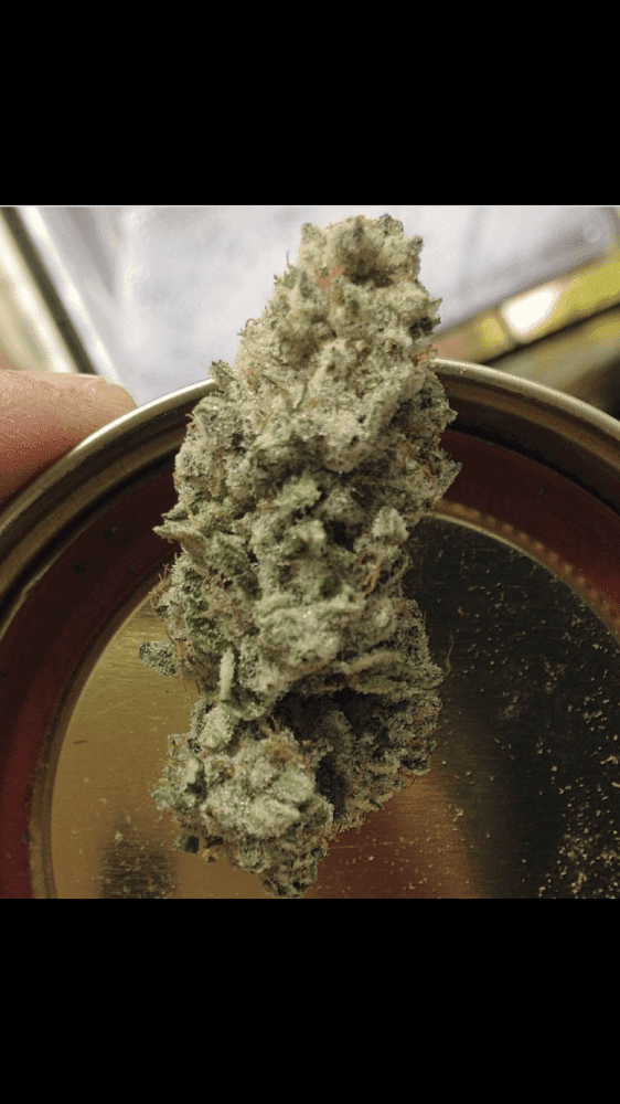 Platinum girl scout candy 5
