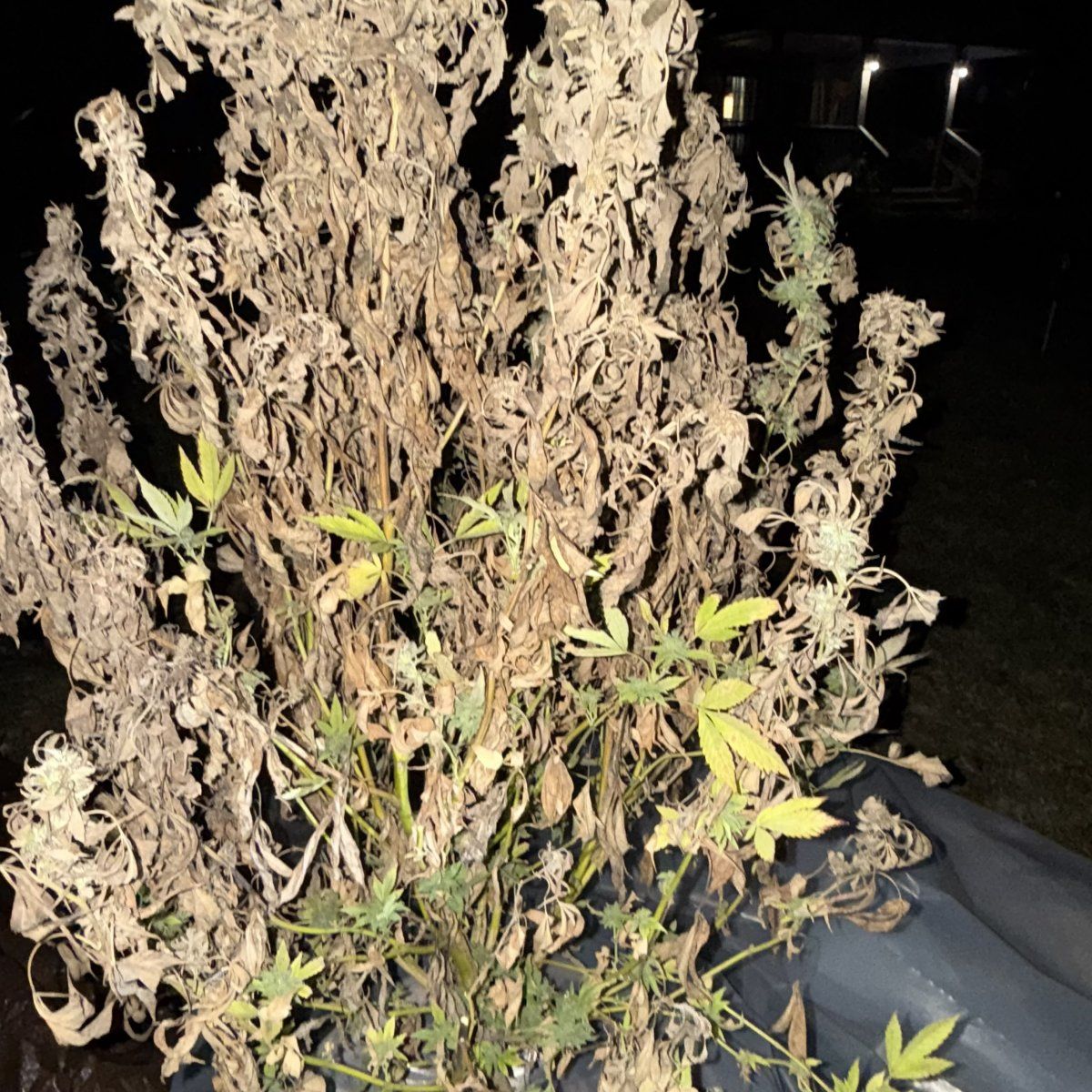 Please help can i do anything with this 7