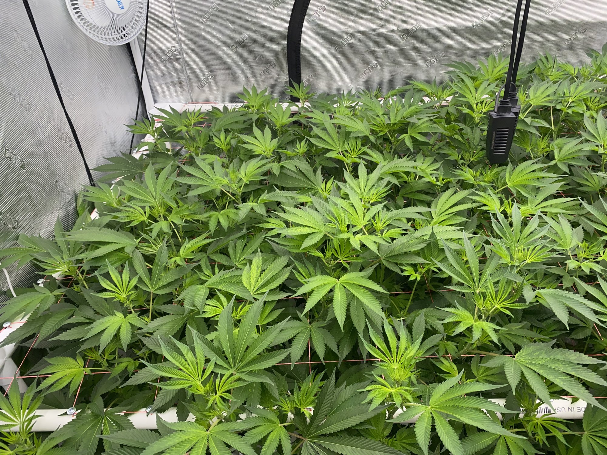 Please help diagnose issue in dwc system 7