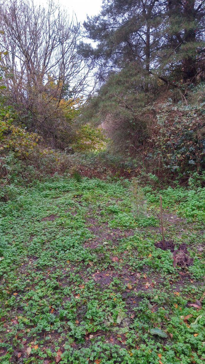 Plot in