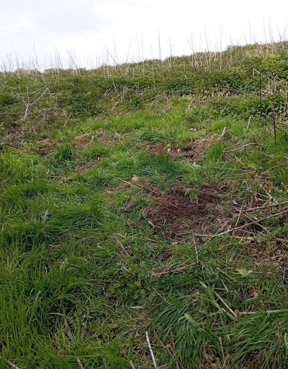 Plot24