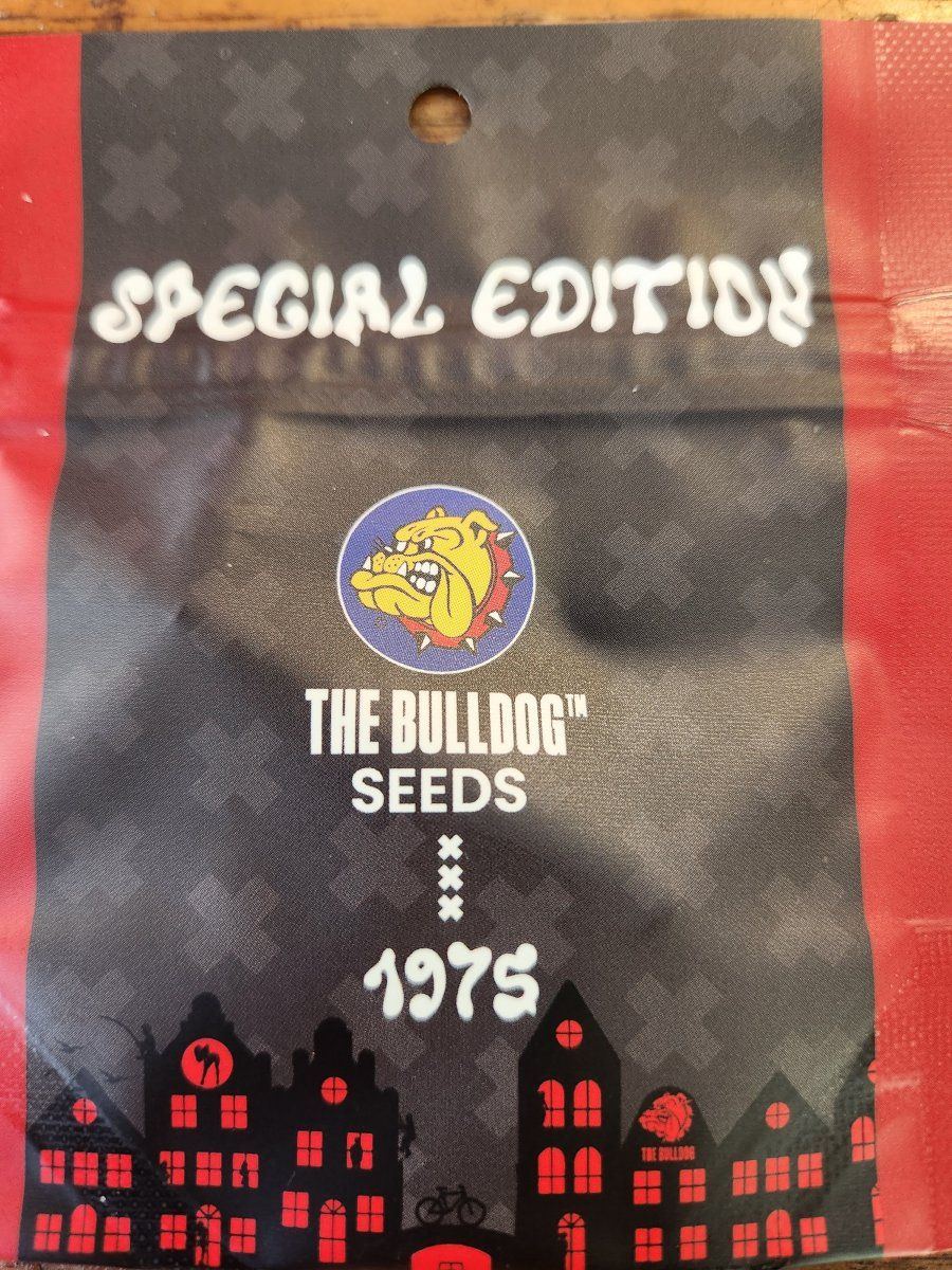 Plumbers seed supreme strain grows 2
