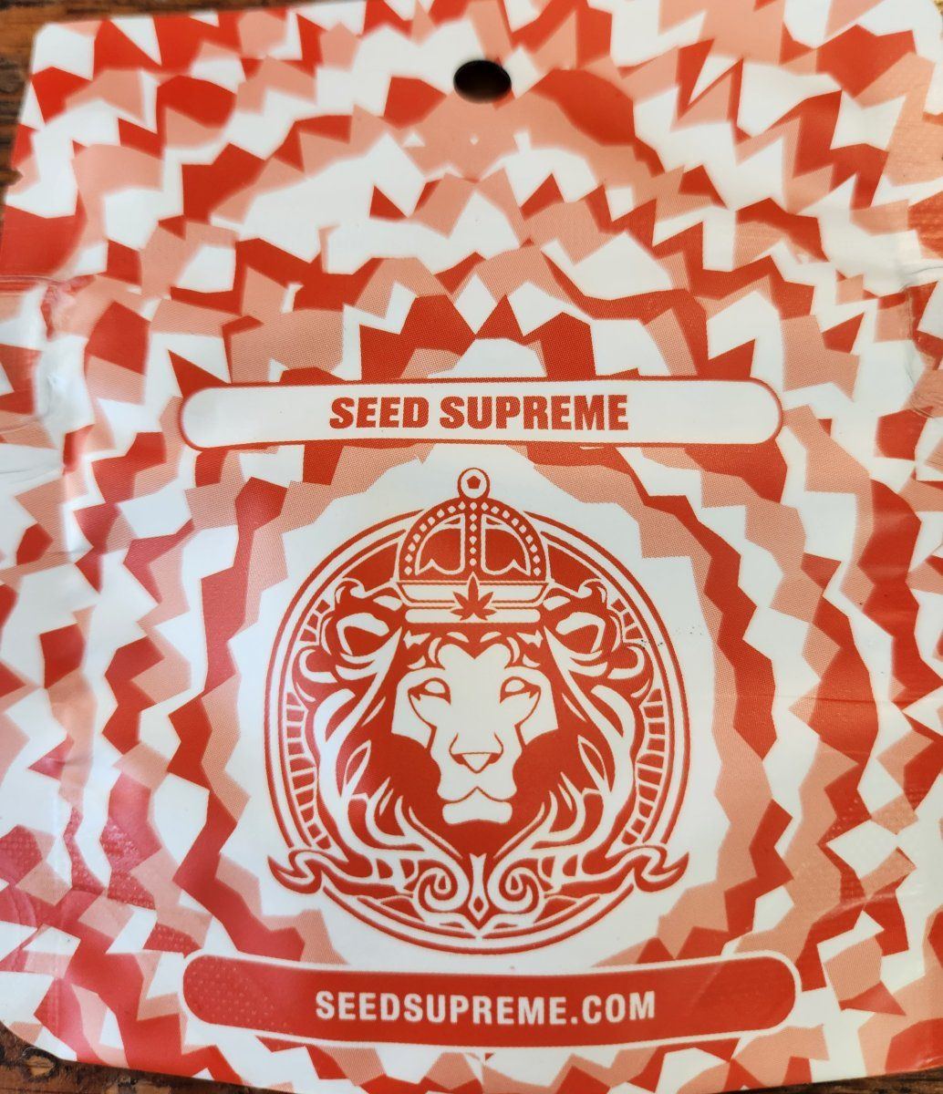 Plumbers seed supreme strain grows