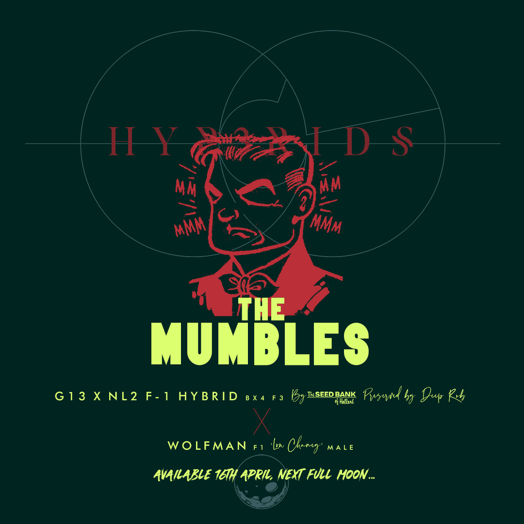 PM01 HYB WOLFMAN MUMBLES 01 copy