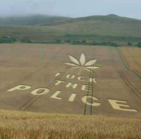 Pol