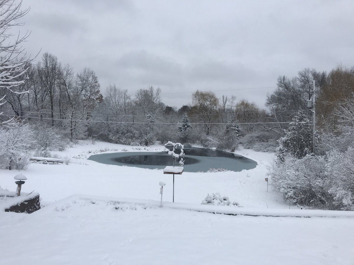 Pond