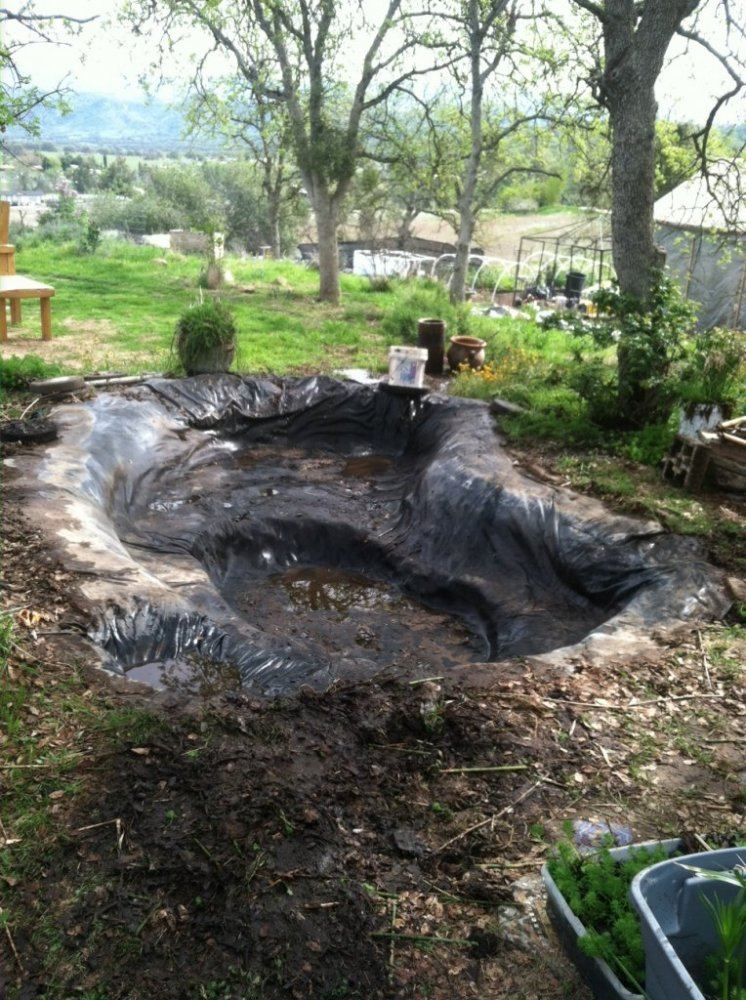 Pond320