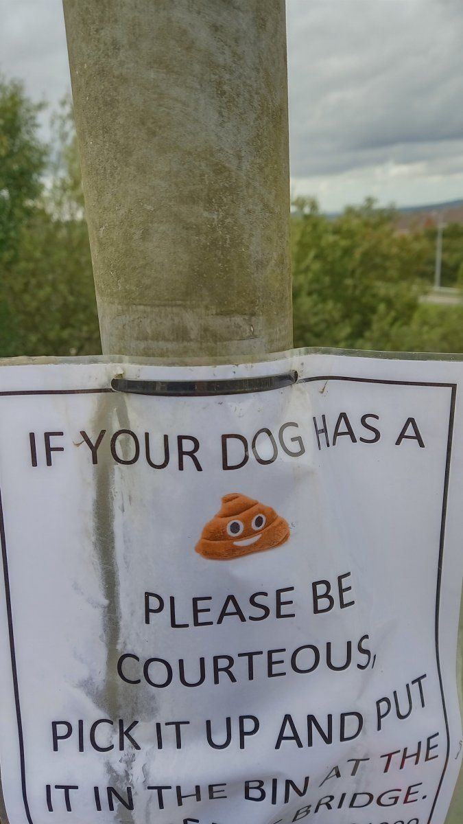Poo