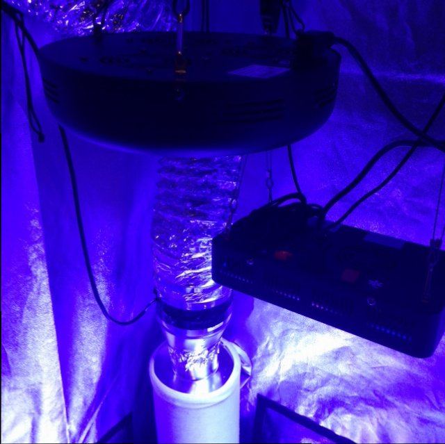 Poor mans led grow 2