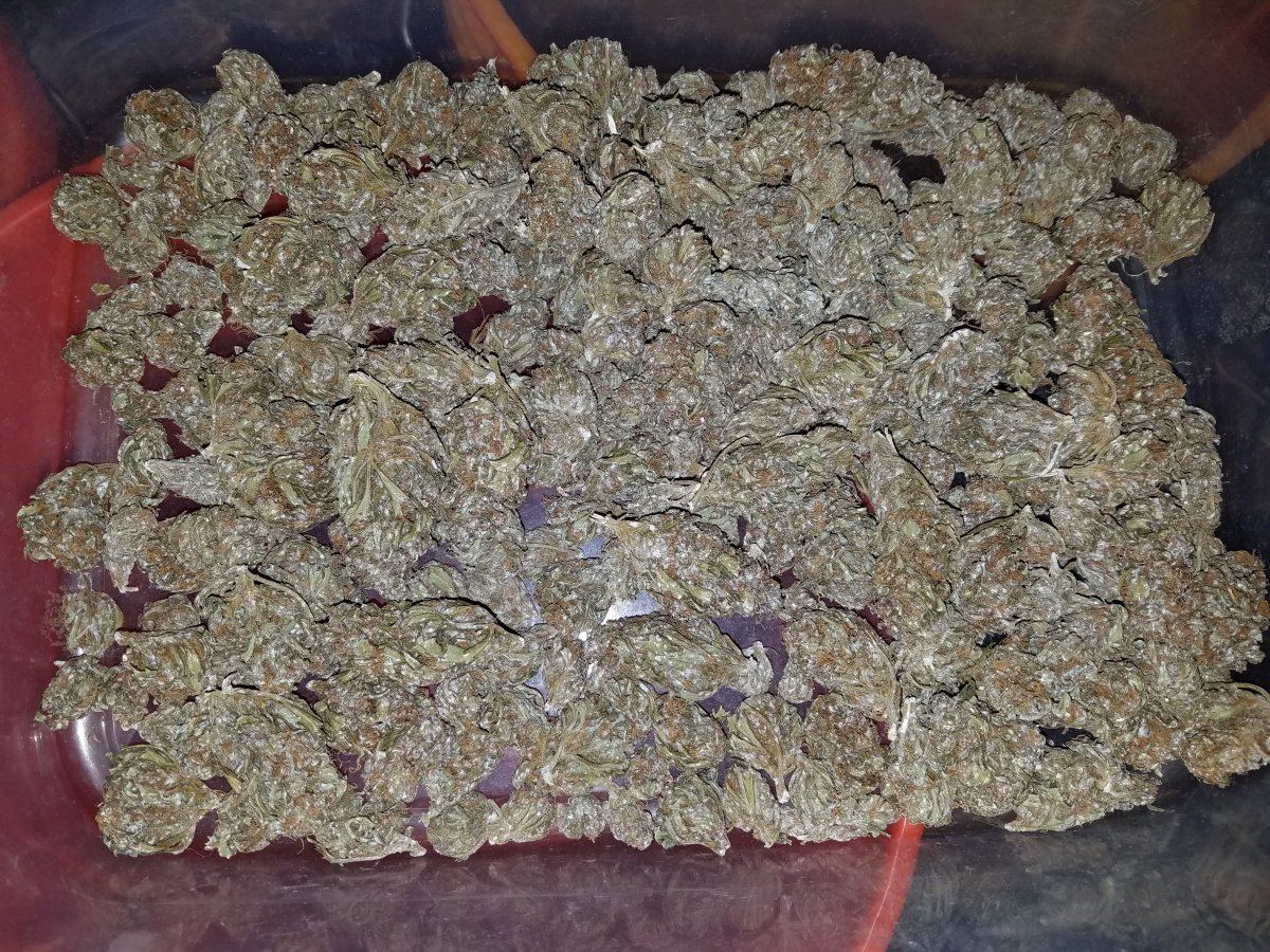 Pop Rocks Outdoor