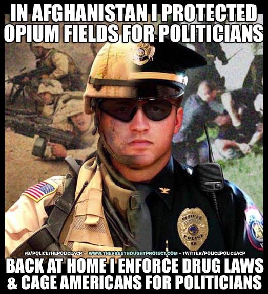 Poppy feilds