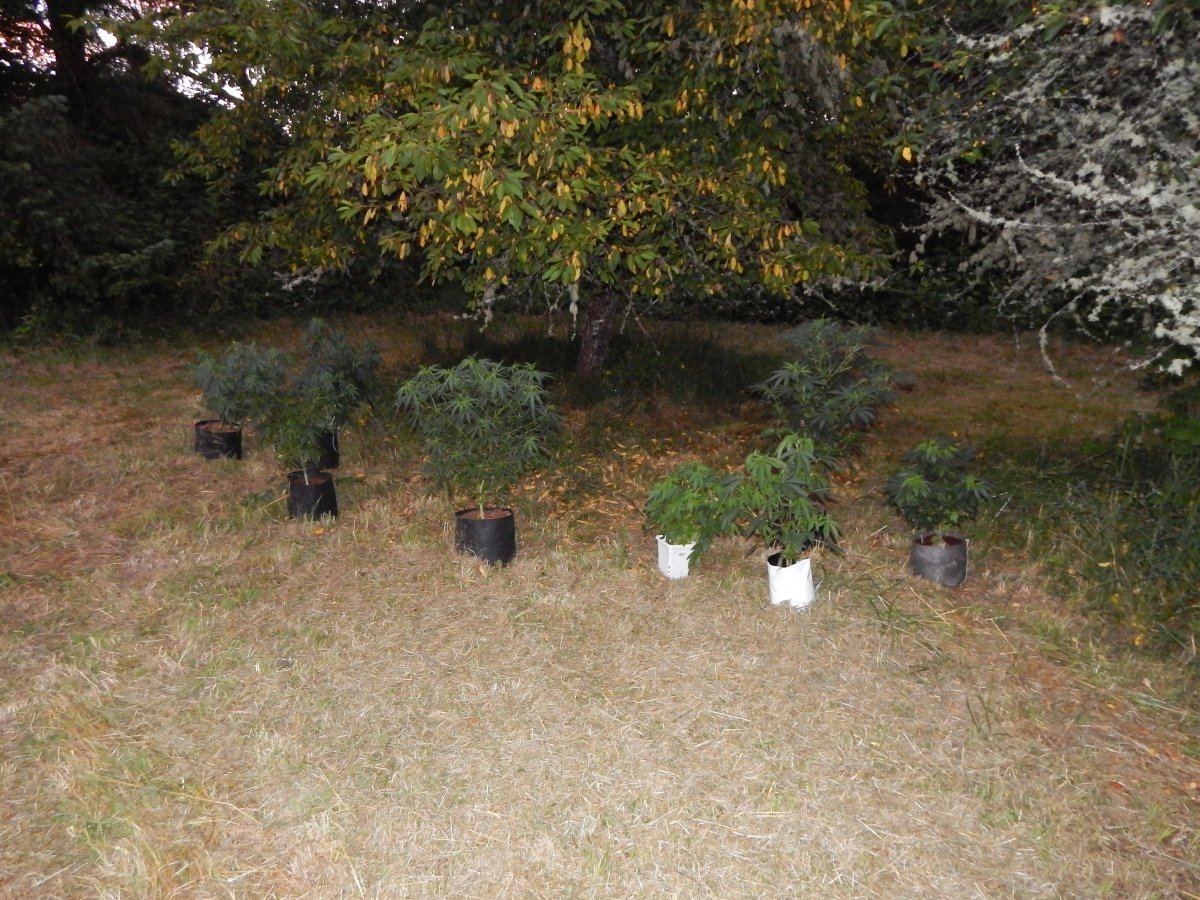 Pots 003
