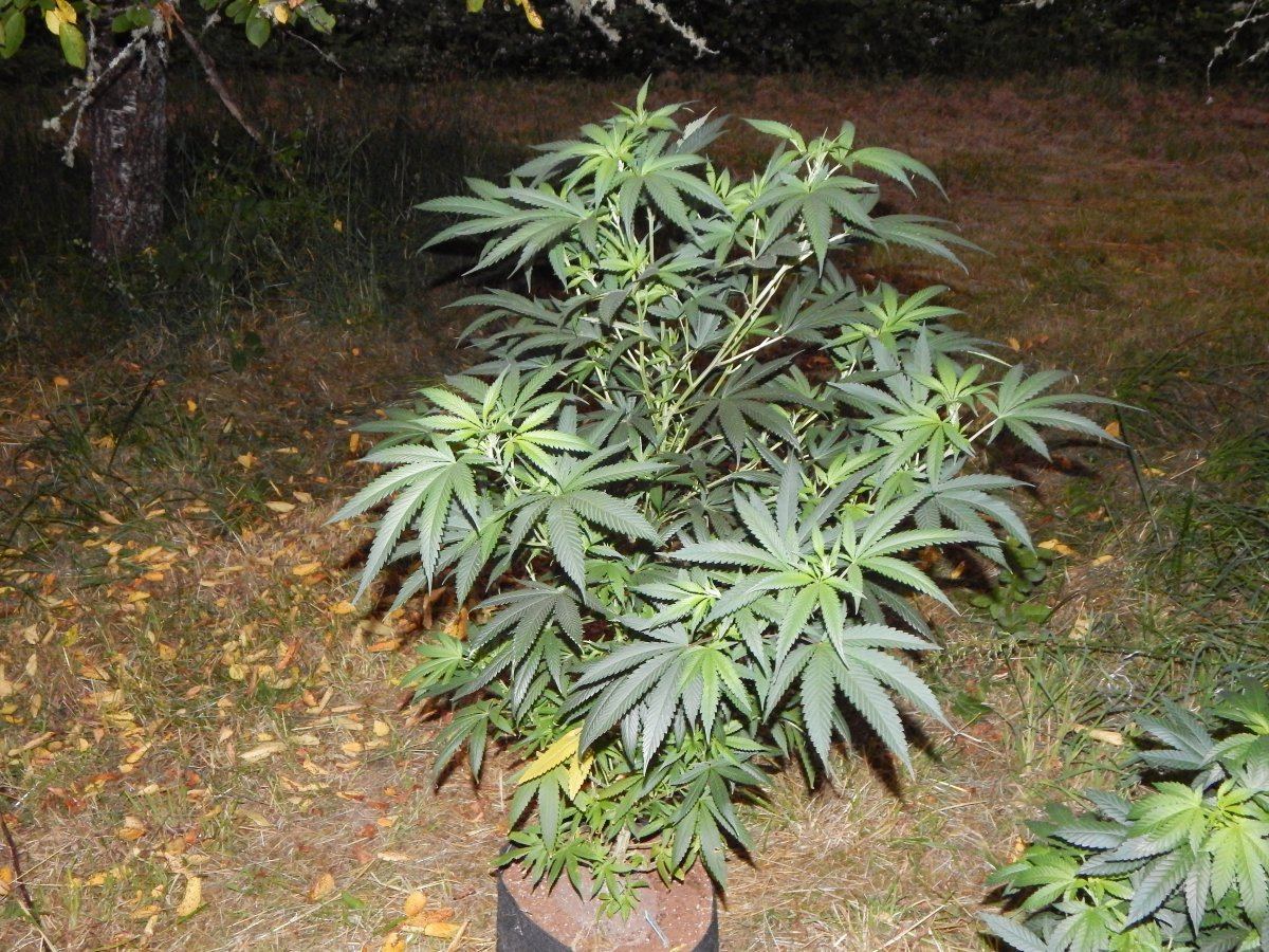 Pots 004