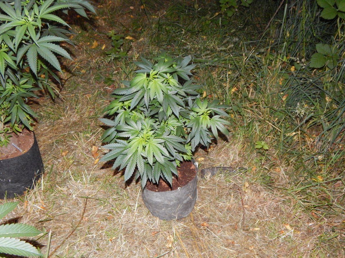 Pots 005