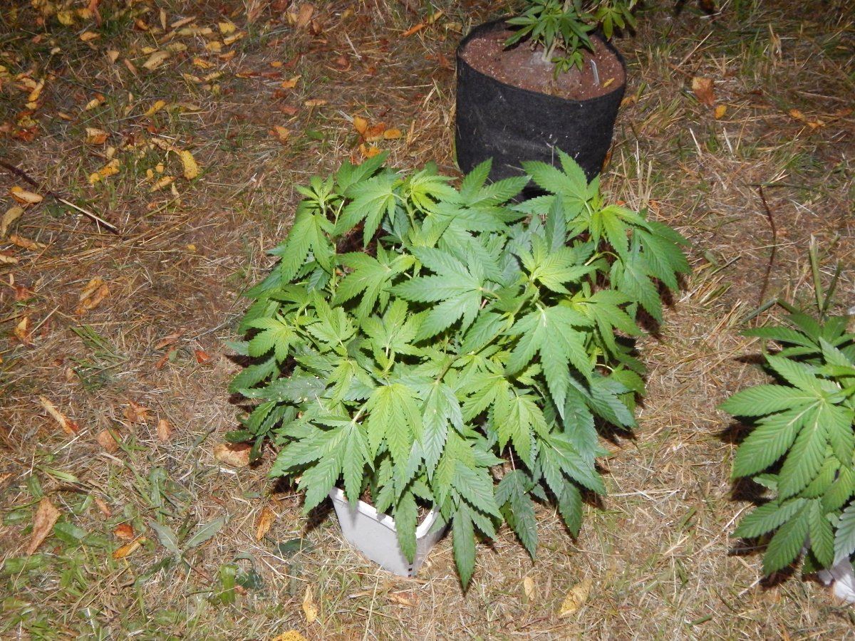 Pots 006