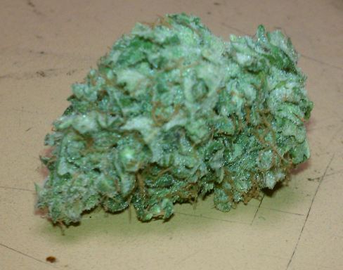 Pow 7 nug1