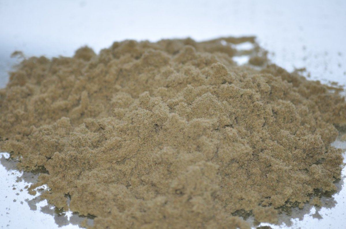 Powder day 9