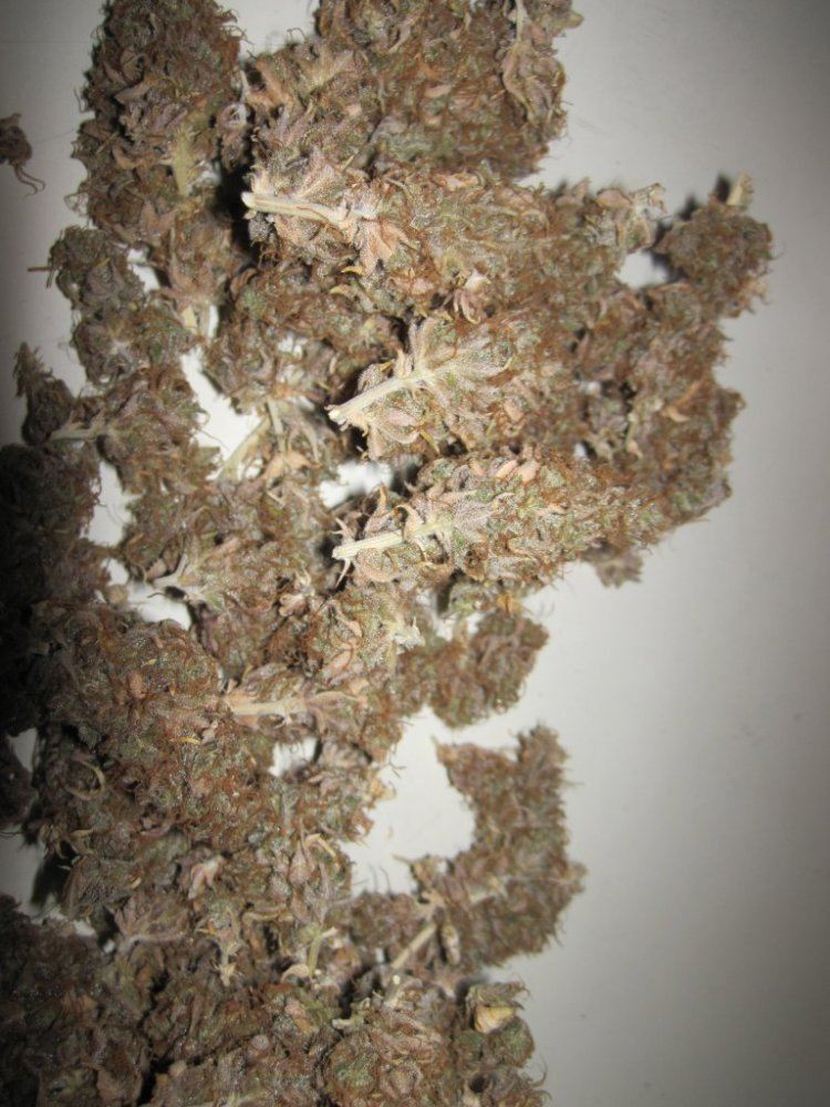 POWdry