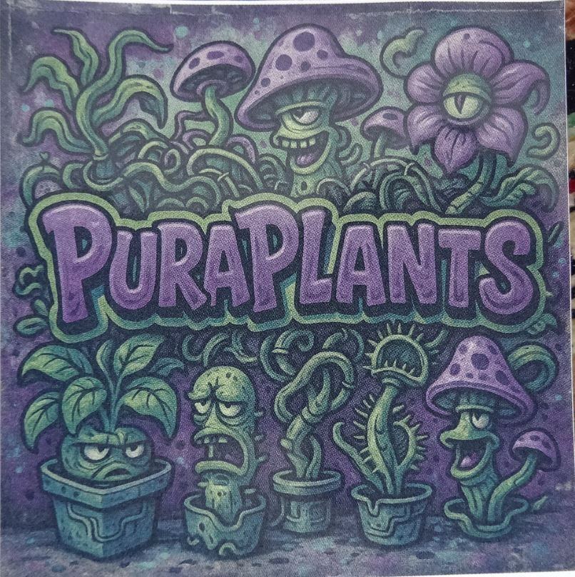 Pp