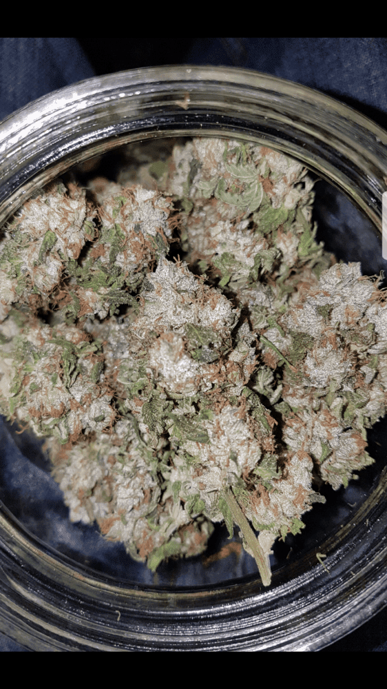 PPCbudpic2